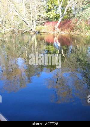 Kenwood Ladies Pond Hampstead Heath London UK Stock Photo Alamy