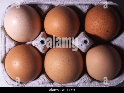 Eggs (Medium Format) Stock Photo