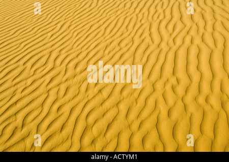 Close focus wide angle image of the patterns made in the sand by the wind in the Thar desert. Stock Photo