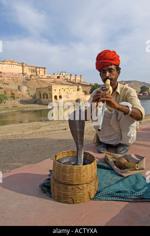 A snake charmer and his Indian or spectacled cobra (naja naja) performing near the Amber Palace. Stock Photo