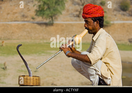 A snake charmer and his Indian or spectacled cobra (naja naja) performing near the Amber Palace. Stock Photo