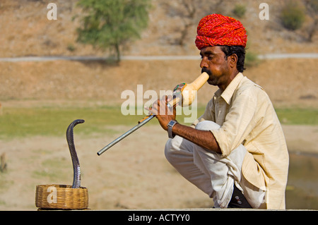 A snake charmer and his Indian or spectacled cobra (naja naja) performing near the Amber Palace. Stock Photo