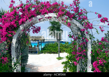 Bougainvillea covered archway on Half Moon Cay with cruise ship in the background Stock Photo