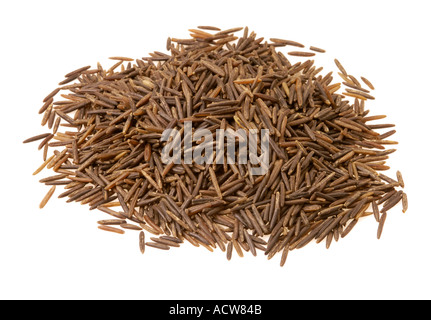 not peeled natural wild RICE from north america canada and mississipi delta Fruit of the waterplant water plant ZIZANIA AQUATICA Stock Photo