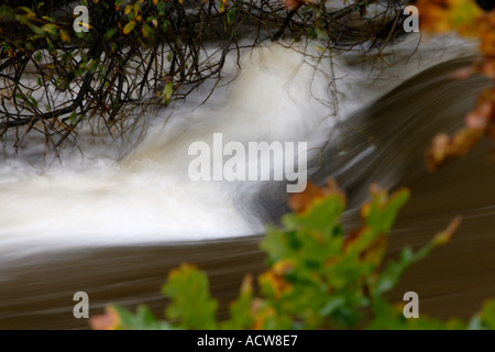 Fast flowing river irwell in flood after heavy rain, in burrs country park bury lancashire uk Stock Photo