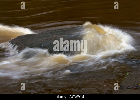 Fast flowing river irwell  in flood flowing around a rock after heavy rain, in burrs country park bury lancashire uk Stock Photo