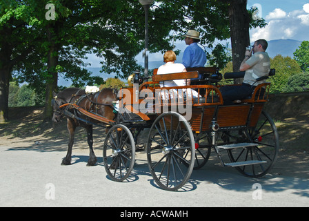 Tourists in horse drawn carriage driving on City Walls . Lucca , Tuscany , Northern Italy , Europe . Stock Photo