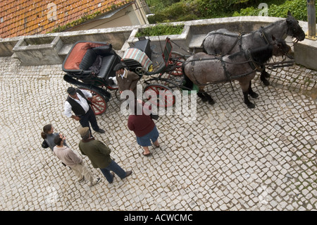 bird's eye view of horsedrawn carrriage, Sintra, Portugal Stock Photo