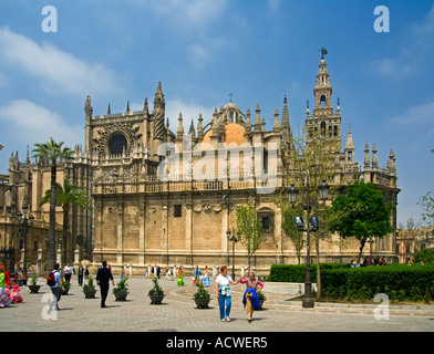 The view across Plaza del Triunfo towards the great Gothic cathedral of Seville Andalusia, Andalucia Spain Stock Photo