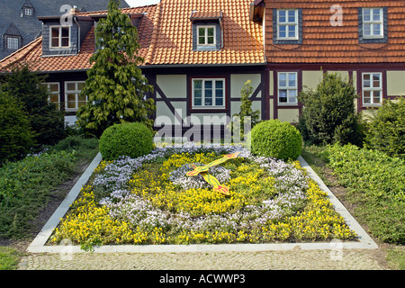 Floral Clock in Wernigerode Harz Mountains Germany Stock Photo