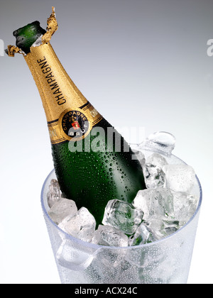 CHAMPAGNE IN ICE BUCKET Stock Photo