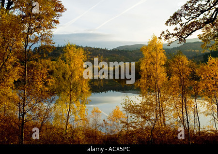 Autumn colours on Loch Garry, near Invergarry, Scotland, UK Stock Photo