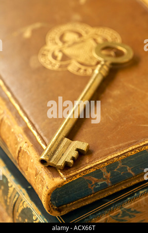Brass antique key laying on antique leather bound books Stock Photo
