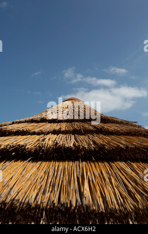 top of straw parasol on south beach fort lauderdale miami florida united states usa Stock Photo