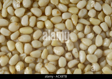 Siberian Cedar nut Stock Photo