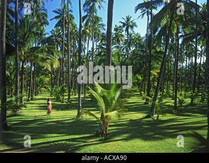 Woman wearing sarong in coconut grove on Island of Kauai Stock Photo