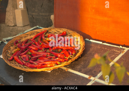 Red Peppers Drying in the Sun Stock Photo