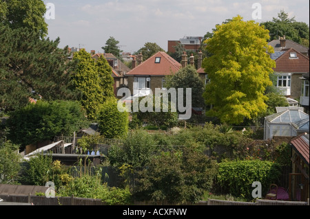 Back gardens UK attached to middle class Edwardian houses London 2000s England HOMER SYKES Stock Photo