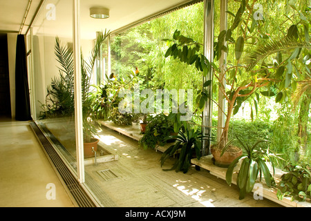 Tugendhat House, Brno CZ, The conservatory wall between the living room and the outside creates a wall of living colour. Stock Photo