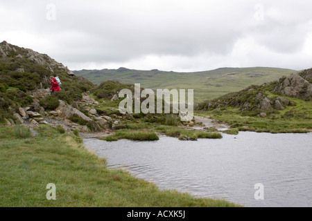 Innominate Tarn on the way to Hay Stacks near Buttermere Cumbria United Kingdom July 2007 Stock Photo