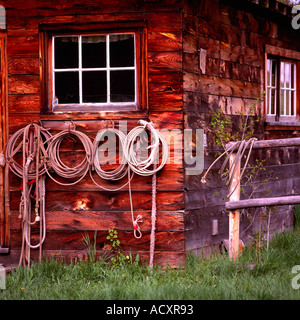 Cowboy Lassos hanging in a Row on Side Wall of Old Weathered Wood Cabin / Ranch Building - Rustic Cowboy House Stock Photo