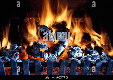 A coal fire burning in a domestic fireplace. This image was formerly available as image A5WFA3. Stock Photo