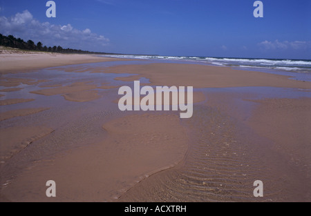Water pools - The Beach at Piricanga Bahia Brazil 2004-5 No1 Stock Photo