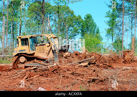 Stripping cutting trees for new subdivision of homes in forest of Georgia America USA global warming chipping pulp wood and plywood for other trees Stock Photo