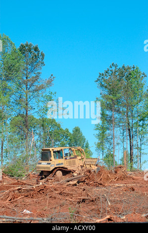 Stripping cutting trees for new subdivision of homes in forest of Georgia America USA global warming chipping pulp wood and plywood for other trees Stock Photo