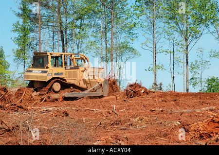 Stripping cutting trees for new subdivision of homes in forest of Georgia America USA global warming chipping pulp wood and plywood for other trees Stock Photo