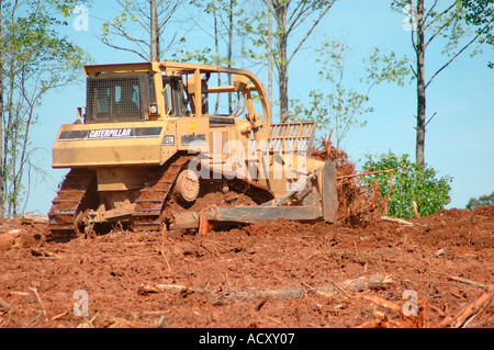 Stripping cutting trees for new subdivision of homes in forest of Georgia America USA global warming chipping pulp wood and plywood for other trees Stock Photo