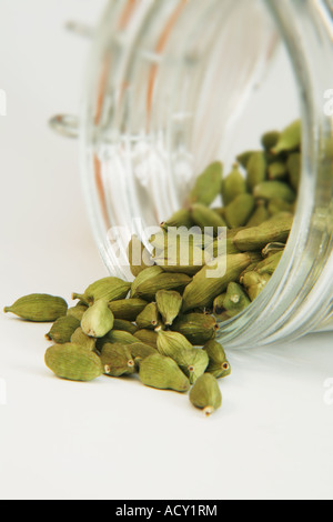Green Cardamom Pods Spilling from Spice Jar Stock Photo - Alamy