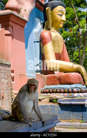 Statue of Lord Buddha and monkey.Stairway to Swayambhunath Stupa.Kathmandu.Nepal Stock Photo