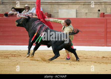 Julian -El Juli- Lopez, a Spanish matador during a bullfight, Spain Stock Photo
