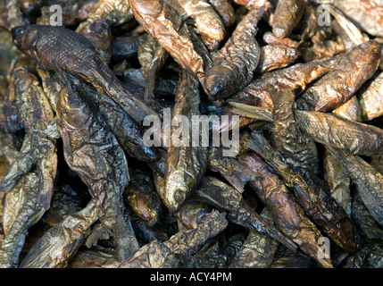 Dried fish.Indra Chowk marketplace.Kathmandu.Nepal Stock Photo