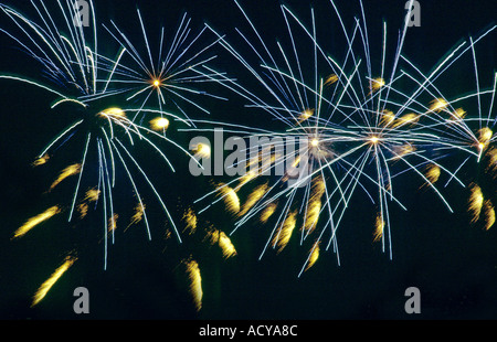 Firework at night dark sky Stock Photo
