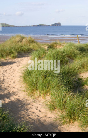 Path through dunes to beach and sea Stock Photo