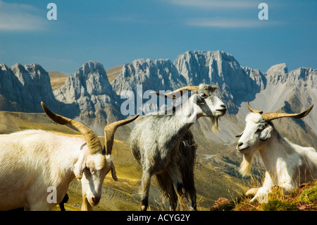 Beautiful landscape of the Pyrenees the mountain range that separates Spain and France Stock Photo