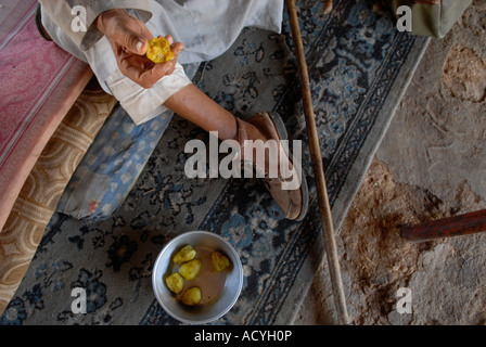 An elderly Palestinian Man eats sabres fruit, also known as prickly pear cactus fruit in his tent in South Hebron hills in the West Bank Israel Stock Photo