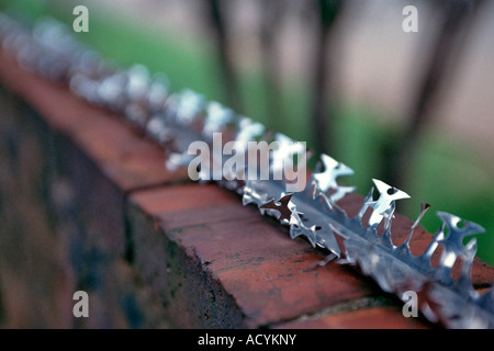 Razor wire on top of brick wall Stock Photo - Alamy