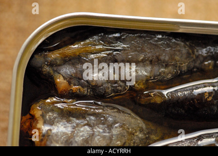 Sardines Stock Photo