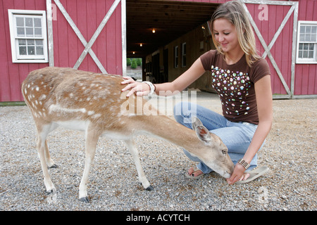 Newport News Virginia,Peninsula SPCA Petting Zoo,teen teens teenager teenagers girl girls,youngster,female kids children deer,barn,VA070614023 Stock Photo