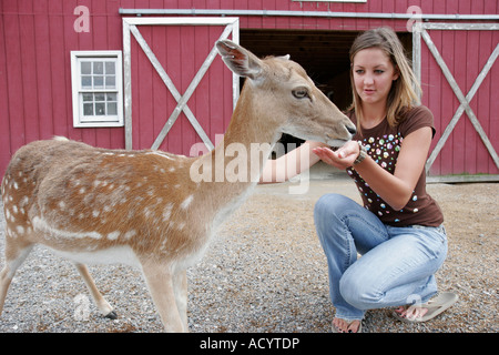 Newport News Virginia,Peninsula SPCA Petting Zoo,teen teens teenage teenager teenagers youth adolescent,girl girls,youngster youngsters youth youths f Stock Photo