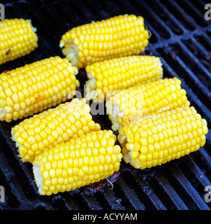 BBQ Barbecuing food Corn being cooked on a gas barbecue Stock Photo