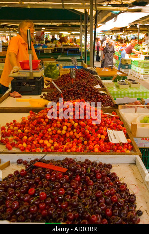 Cherries at market at Plac Wielkopolski in Central Poznan Poland EU Stock Photo