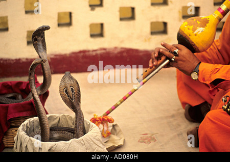 Snake charmer playing a flute in front of a snake. Stock Photo