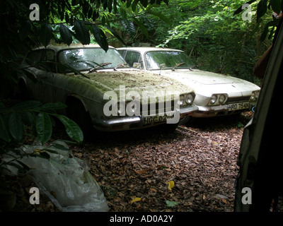 Abandoned car - Reliant Scimitars rot into the ground in woodland Stock Photo