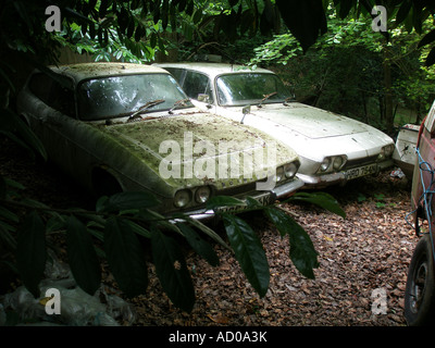 Abandoned car - Reliant Scimitars rot into the ground in woodland Stock Photo