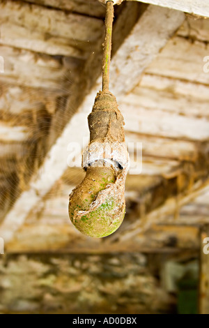 Old disused light bulb fitting Stock Photo