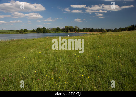 Sywell Country Park, Northamptonshire, England, UK Stock Photo